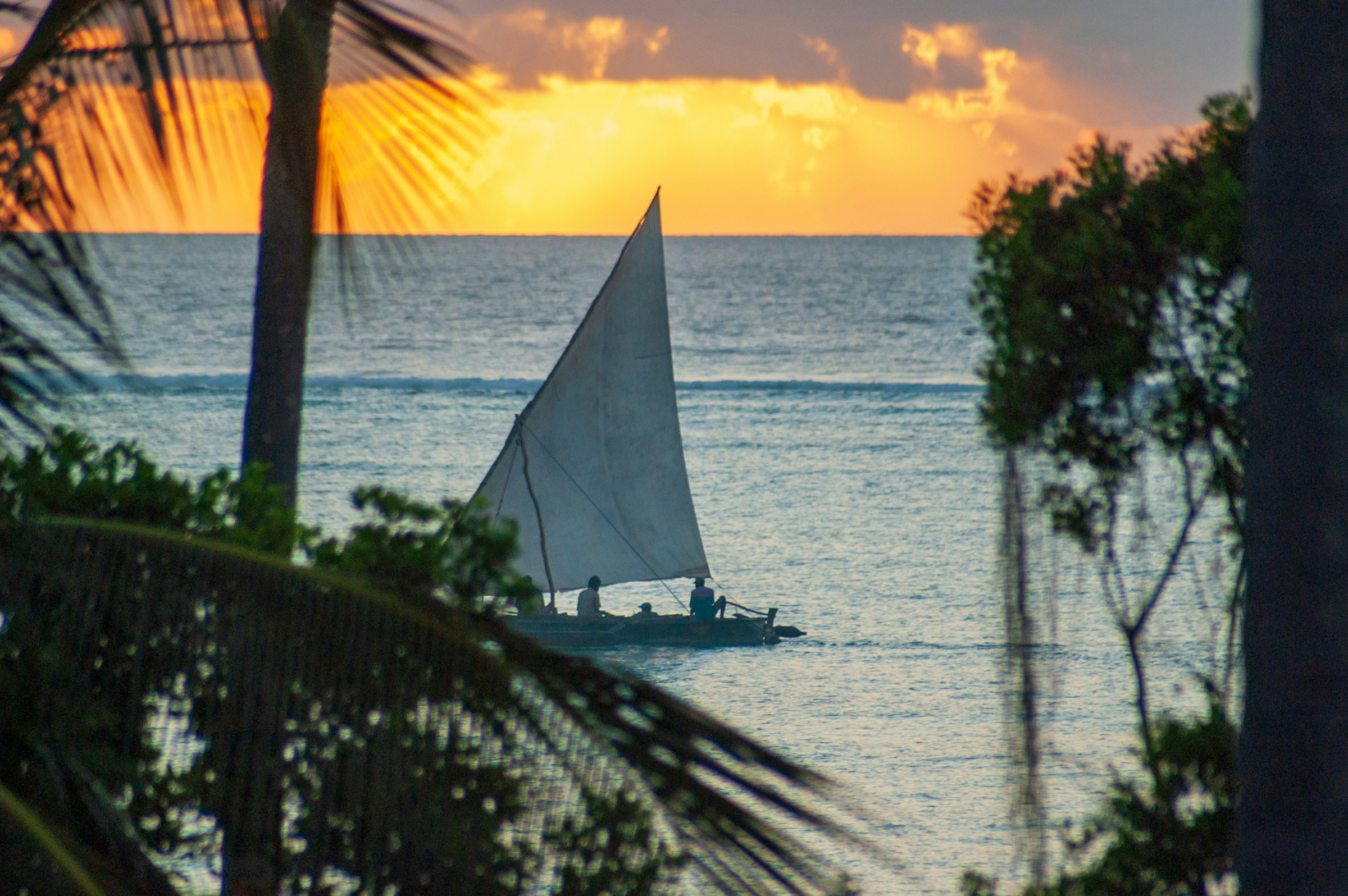 Safari + Zanzibar