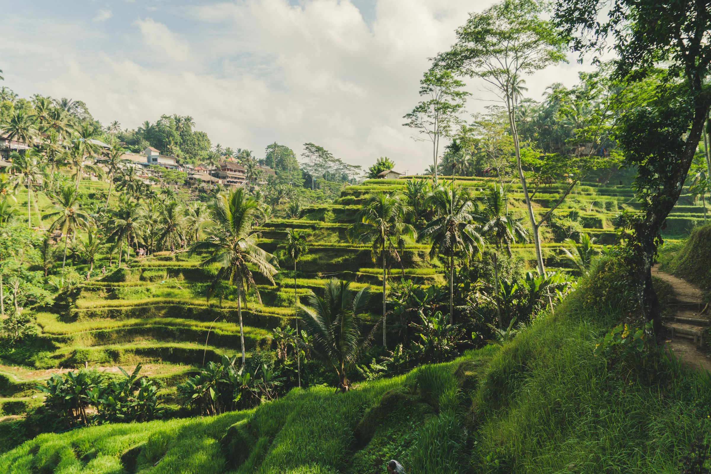 Bali